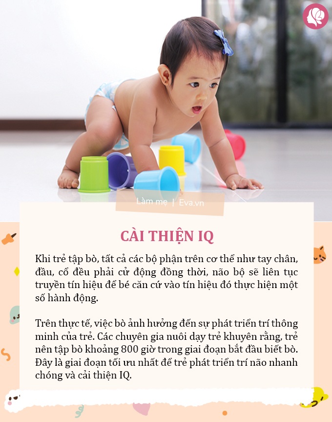 5 lợi ích khi trẻ tập bò, bé càng bò nhiều càng thông minh, IQ tăng lên mỗi ngày - 5