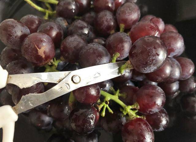 Rửa nho với nước coi như chưa rửa, dùng loại nước hay đổ đi này giúp nho sạch, yên tâm ăn cả vỏ - 2