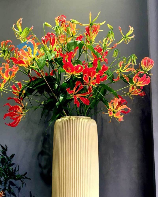 Loài hoa này được gọi là &#34;vàng thực vật&#34;, có tiền chưa chắc đã mua được, người giàu rất thích chơi - 3