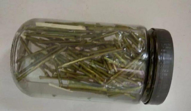 Hòa thứ này vào nước tưới cây, rễ sẽ mọc tua tủa, không cần tốn tiền mua thuốc - 2