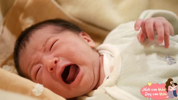 Trẻ sơ sinh có nhiều hơn 2 trong 4 biểu hiện này chứng tỏ con rất thông minh, mẹ yên tâm hơn - 5