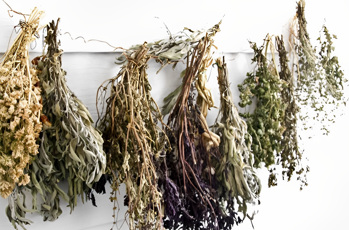 Nhà cửa bốc mùi hôi rình dùng ngay những thứ “rẻ tiền” này, phòng thơm phức sau 1 đêm, ẩm mốc tránh xa - 7