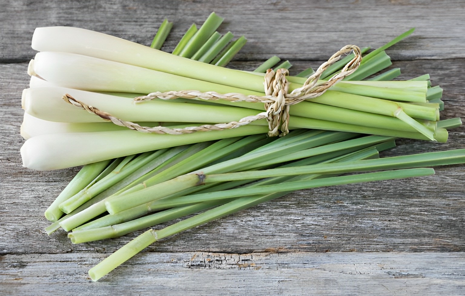 Nhà cửa bốc mùi hôi rình dùng ngay những thứ “rẻ tiền” này, phòng thơm phức sau 1 đêm, ẩm mốc tránh xa - 4