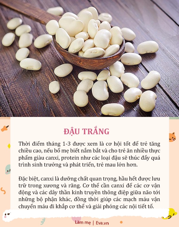 5 loại đậu giàu canxi hơn sữa, cho trẻ ăn thường xuyên giúp bé cao lớn nhanh - 3