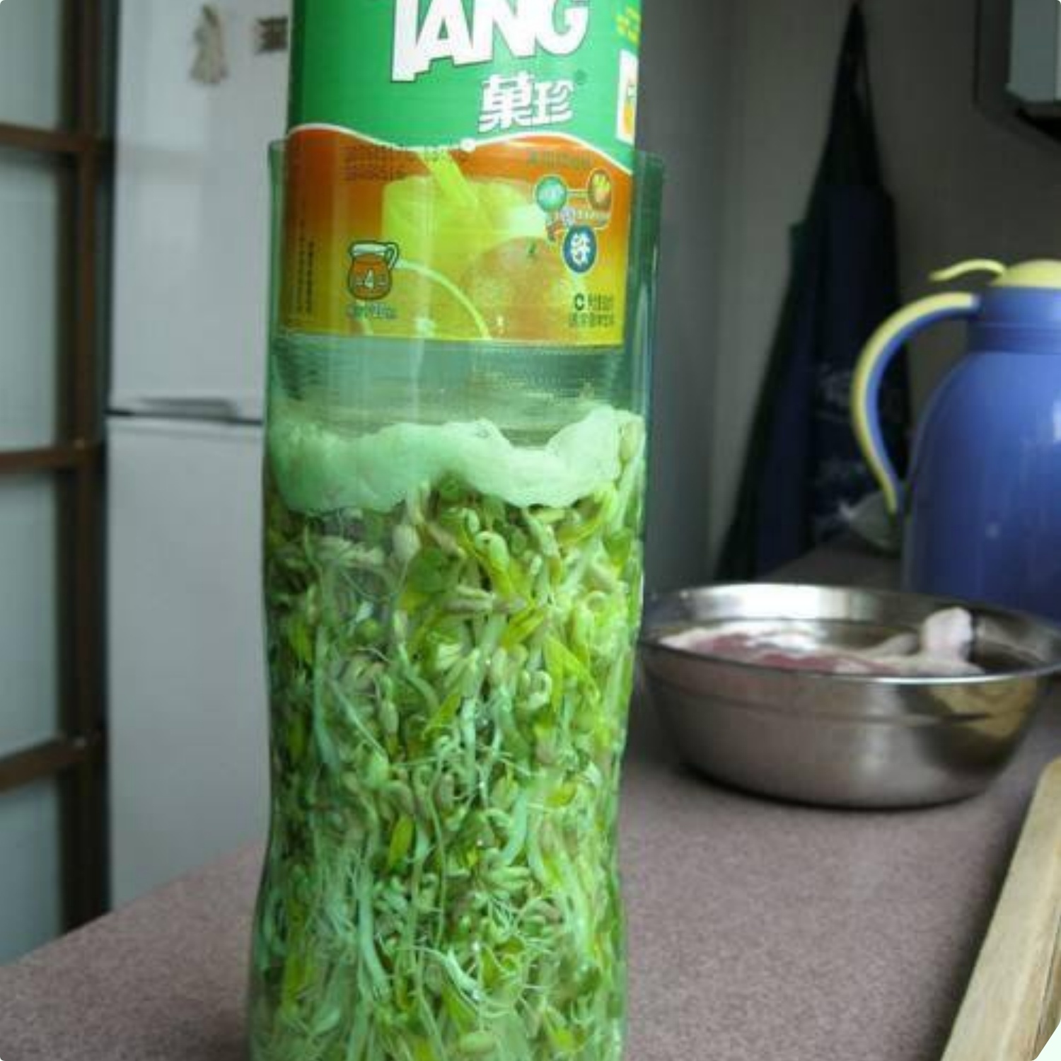 Mua giá đỗ nên chọn loại dài hay ngắn? Người trồng giá nói không quan trọng, đây mới là điểm mấu chốt - 12