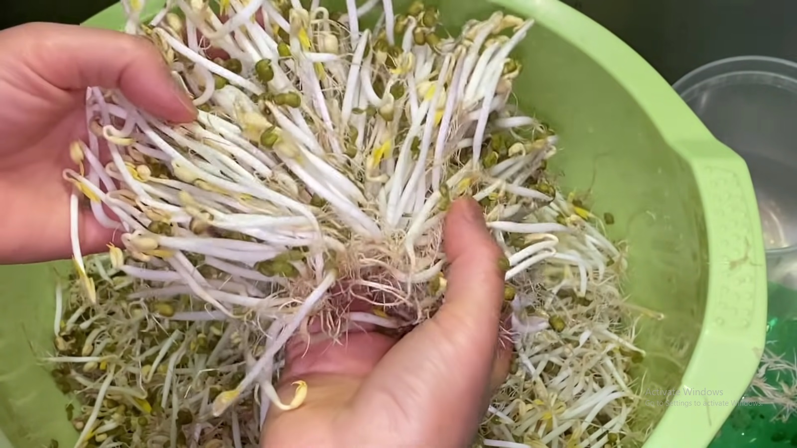 Mua giá đỗ nên chọn loại dài hay ngắn? Người trồng giá nói không quan trọng, đây mới là điểm mấu chốt - 14