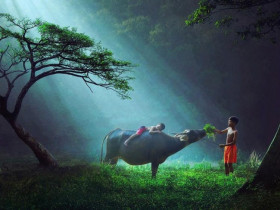 Trở về nguồn cội dân gian: Từ sắc đỏ nhiễu điều đến hương quê trên non