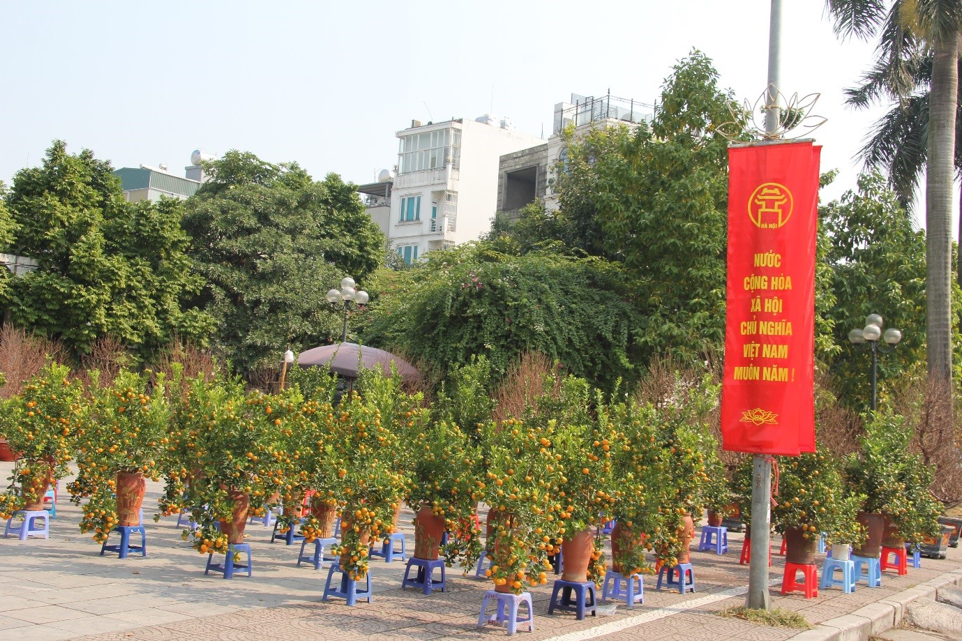 Tết cổ truyền Việt Nam - 6