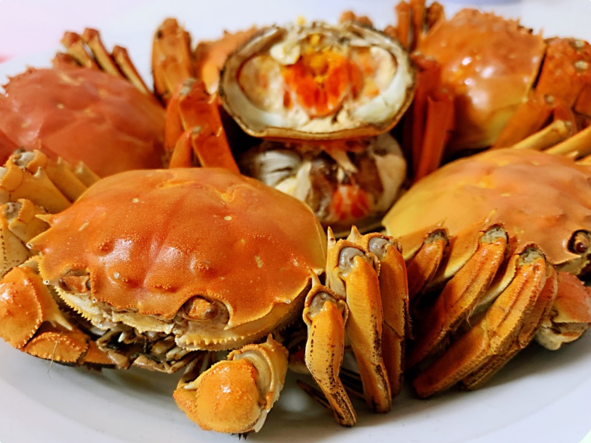 Mua cua ghẹ chỉ nhìn vào 5 điểm, con nào cũng béo múp, nhiều gạch, không lo bị ọp phí tiền - 14