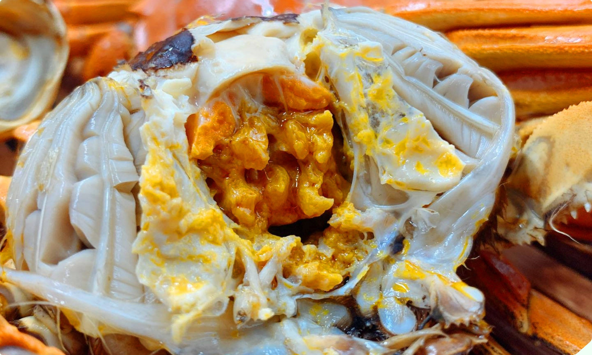 Mua cua ghẹ chỉ nhìn vào 5 điểm, con nào cũng béo múp, nhiều gạch, không lo bị ọp phí tiền - 4