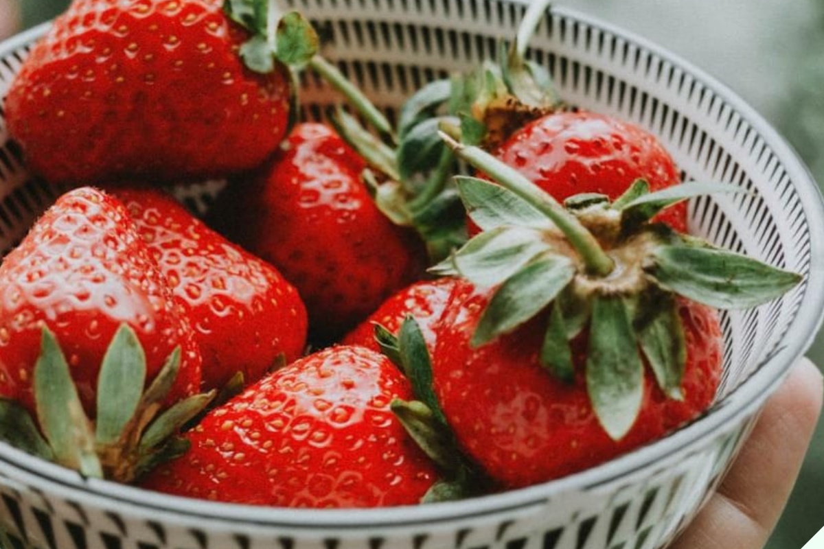 Dâu tây ngoài chợ quả nào cũng căng mướt, người thông minh nhìn lướt 4 điểm này biết ngay dâu Mộc Châu hay Trung Quốc “đội lốt” - 7