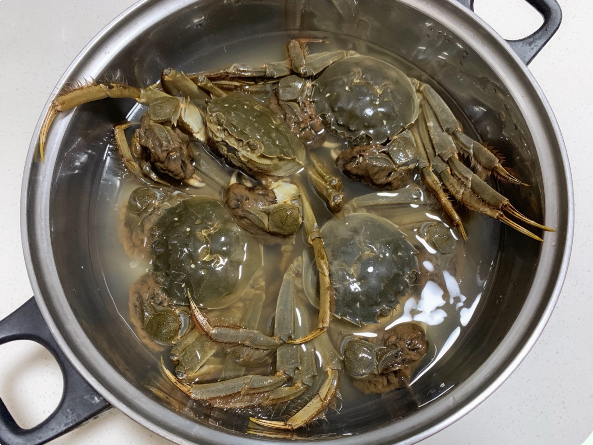 Mua cua ghẹ chỉ nhìn vào 5 điểm, con nào cũng béo múp, nhiều gạch, không lo bị ọp phí tiền - 9