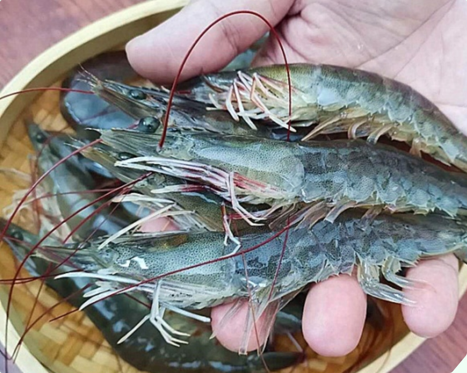 Luộc tôm cứ dùng loại nước này, thịt mềm ngọt không bị teo, hết sạch mùi tanh, “bao” đỏ đẹp như nhà hàng - 4