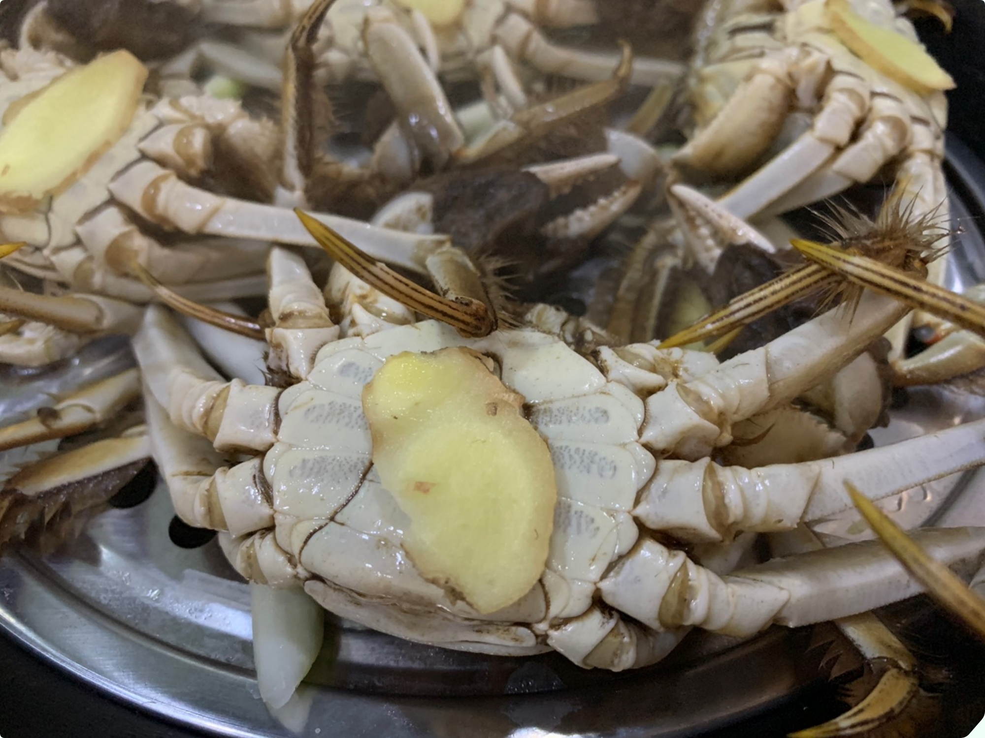 Mua cua ghẹ chỉ nhìn vào 5 điểm, con nào cũng béo múp, nhiều gạch, không lo bị ọp phí tiền - 12