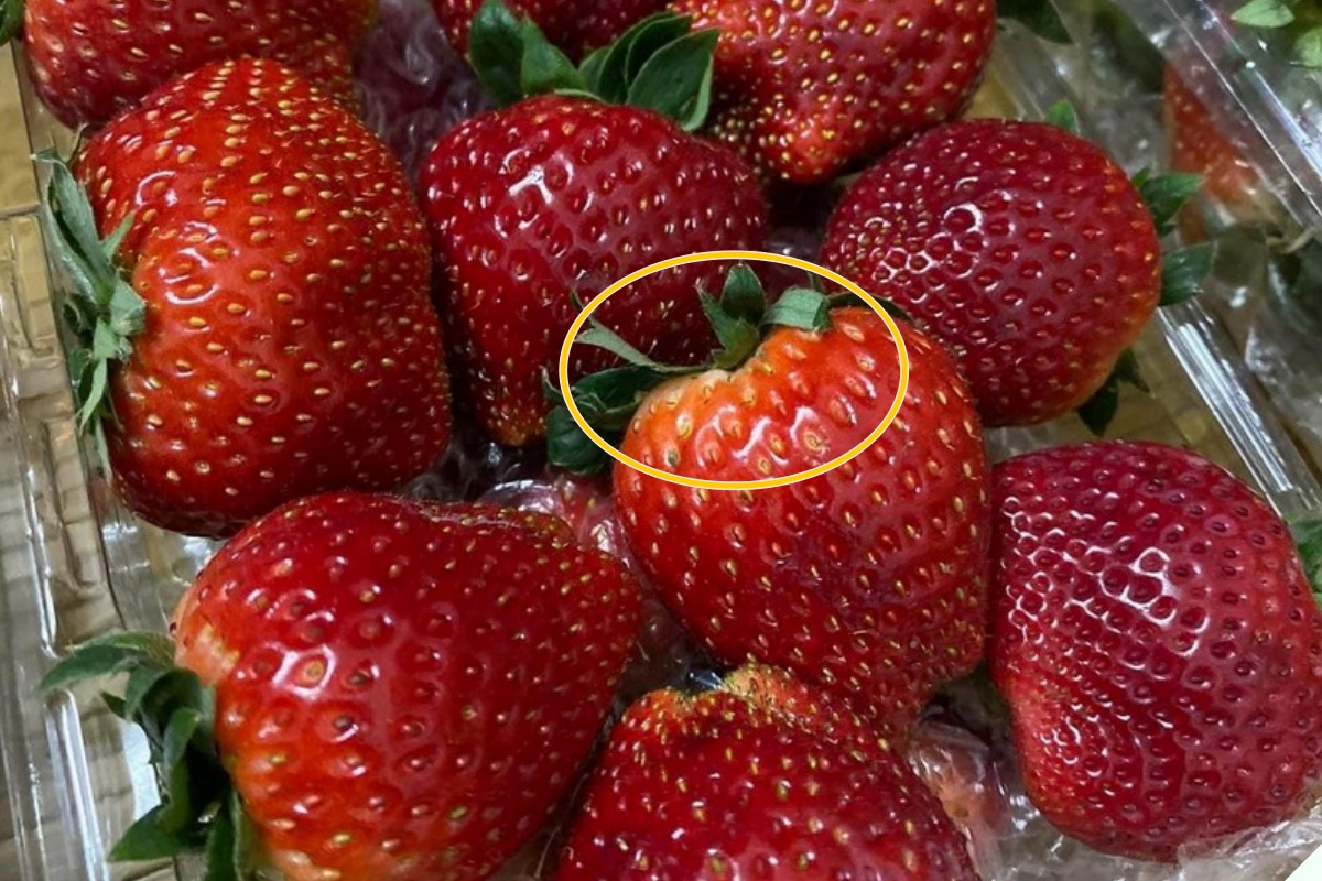 Dâu tây ngoài chợ quả nào cũng căng mướt, người thông minh nhìn lướt 4 điểm này biết ngay dâu Mộc Châu hay Trung Quốc “đội lốt” - 5