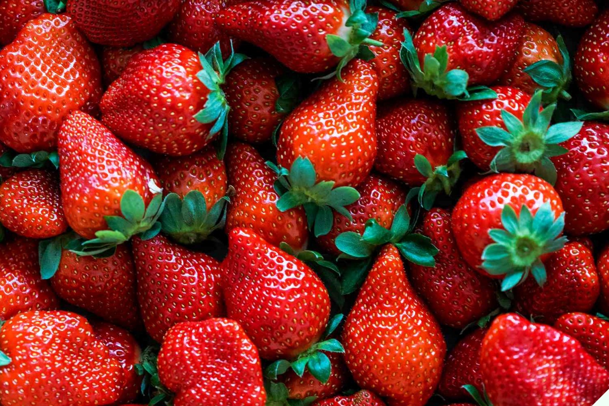 Dâu tây ngoài chợ quả nào cũng căng mướt, người thông minh nhìn lướt 4 điểm này biết ngay dâu Mộc Châu hay Trung Quốc “đội lốt” - 8