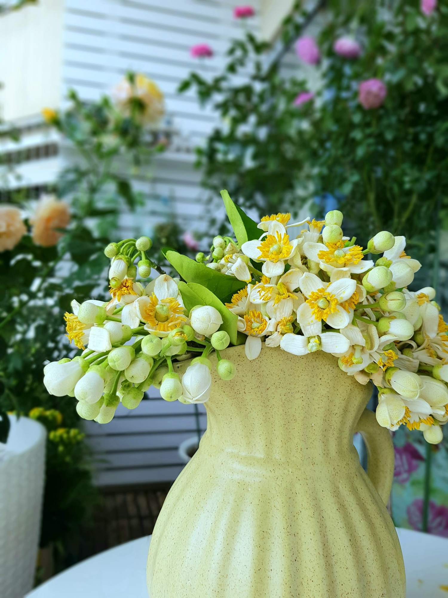 Hoa bưởi vừa mua về đã héo, làm ngay những bước này để hoa tươi lâu cả tuần, hương thơm lâu tàn - 8