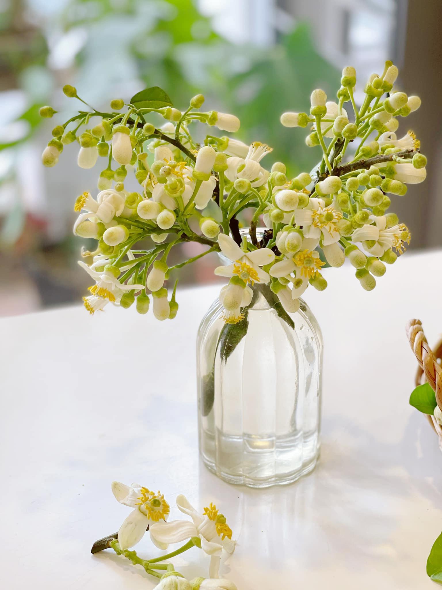 Hoa bưởi vừa mua về đã héo, làm ngay những bước này để hoa tươi lâu cả tuần, hương thơm lâu tàn - 15