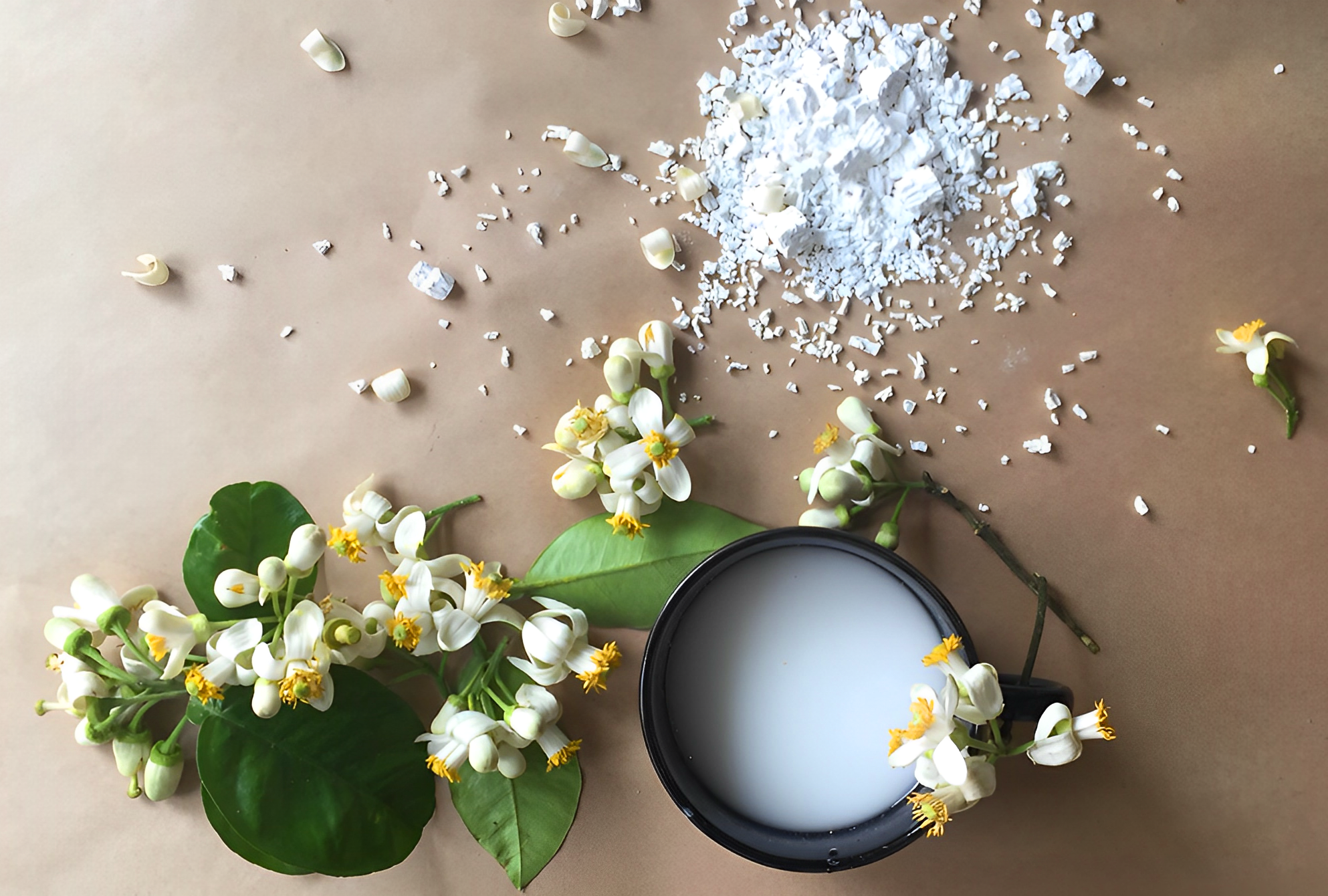 Hoa bưởi vừa mua về đã héo, làm ngay những bước này để hoa tươi lâu cả tuần, hương thơm lâu tàn - 5