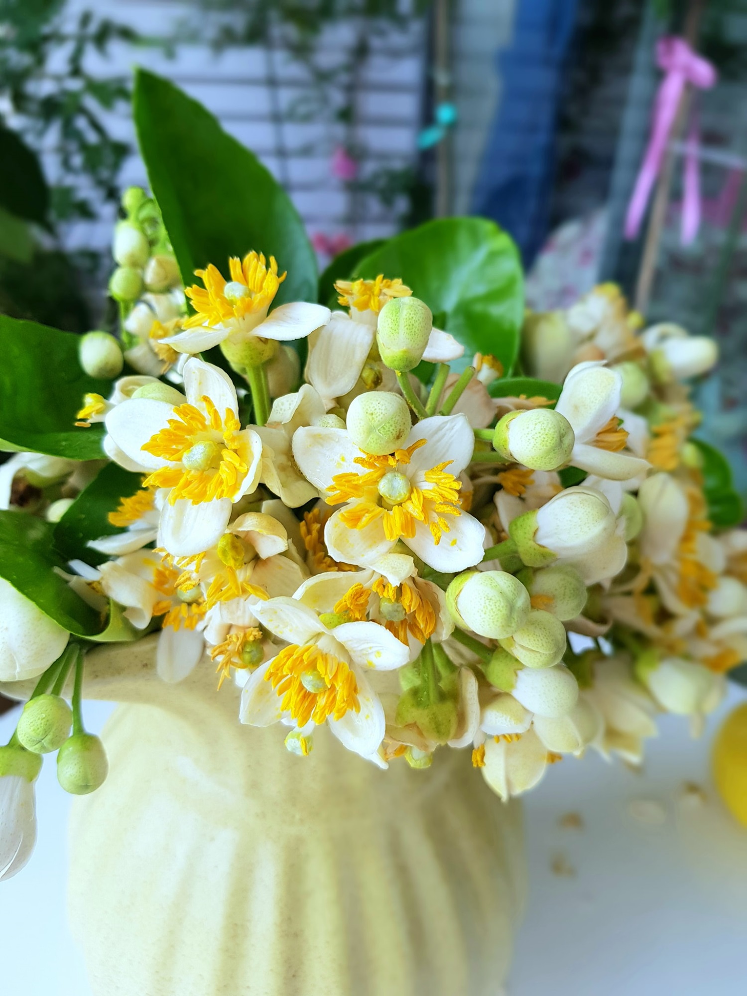 Hoa bưởi vừa mua về đã héo, làm ngay những bước này để hoa tươi lâu cả tuần, hương thơm lâu tàn - 7