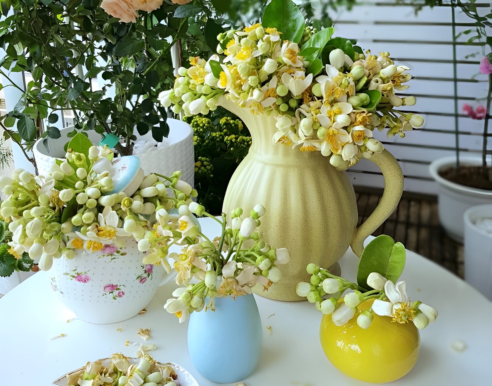 Hoa bưởi vừa mua về đã héo, làm ngay những bước này để hoa tươi lâu cả tuần, hương thơm lâu tàn - 13