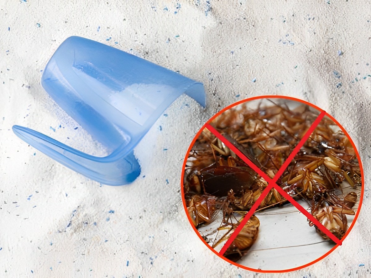 Chuối ăn xong đừng vứt vỏ đi, chỉ cần kết hợp với muối và bột giặt, gián chết “la liệt” không dám bén mảng - 5