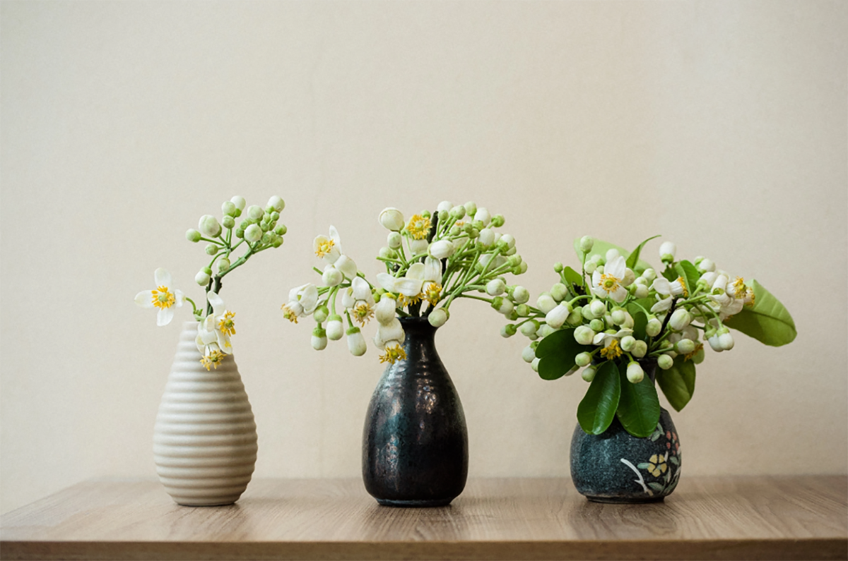 Hoa bưởi vừa mua về đã héo, làm ngay những bước này để hoa tươi lâu cả tuần, hương thơm lâu tàn - 14