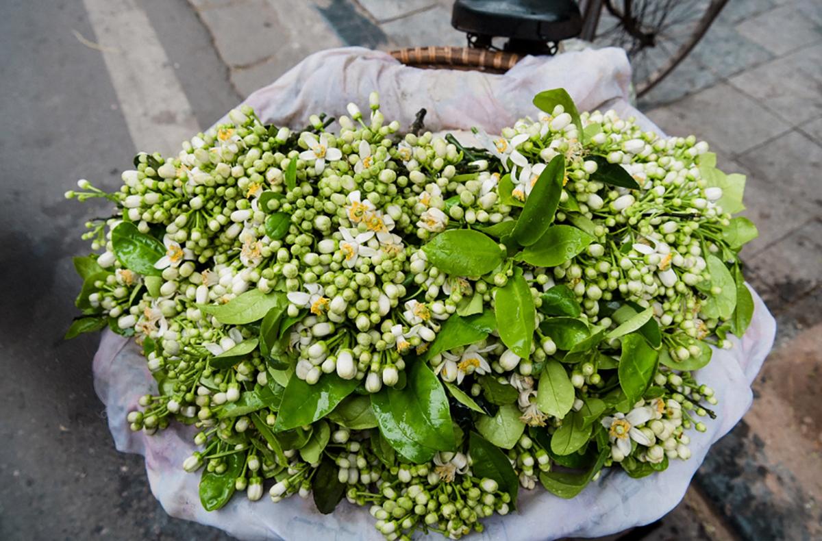 Hoa bưởi vừa mua về đã héo, làm ngay những bước này để hoa tươi lâu cả tuần, hương thơm lâu tàn - 2