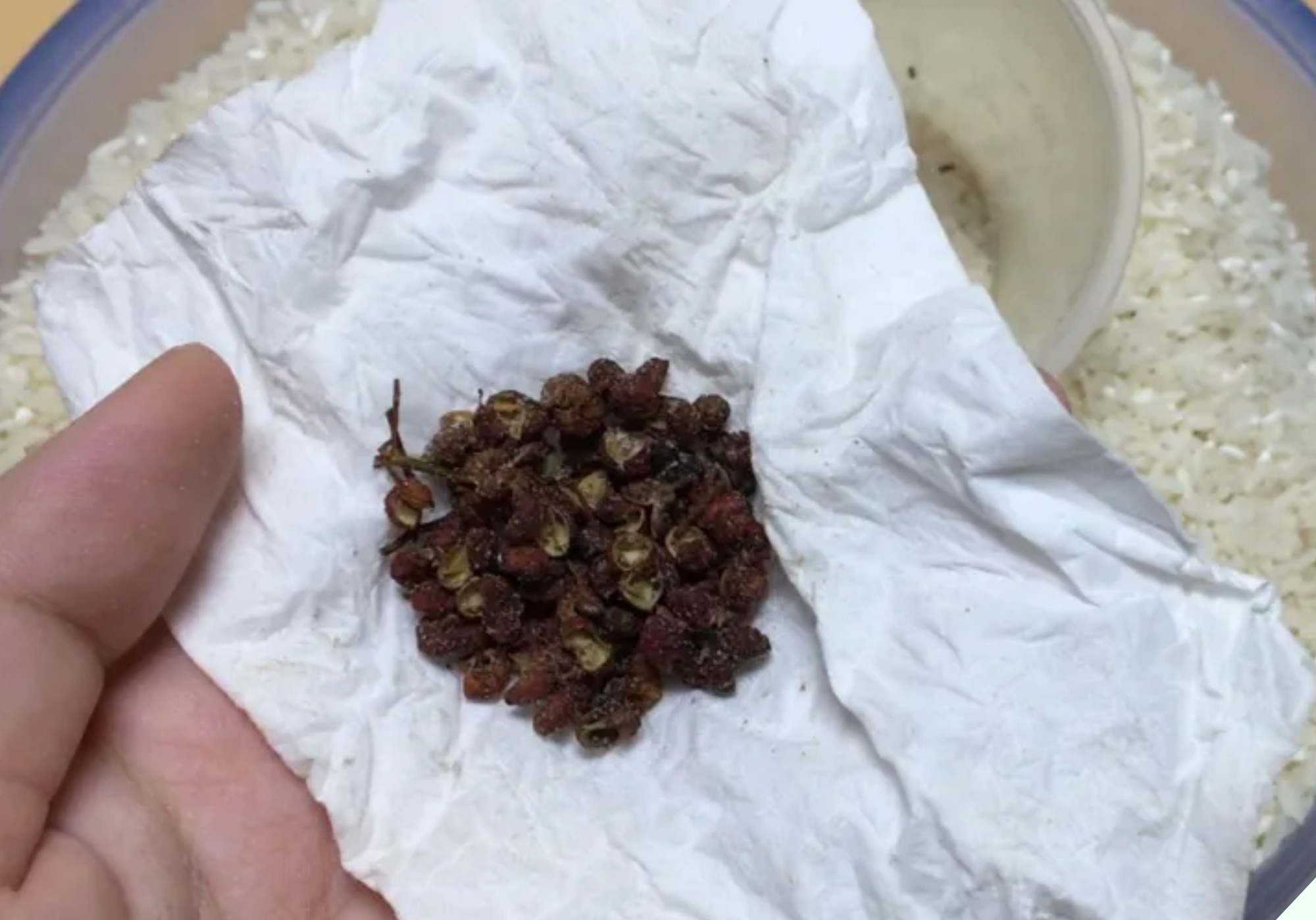 Bỏ thứ này vào thùng gạo 10 phút sau thấy điều thần kỳ, tiếc là giờ tôi mới biết - 4