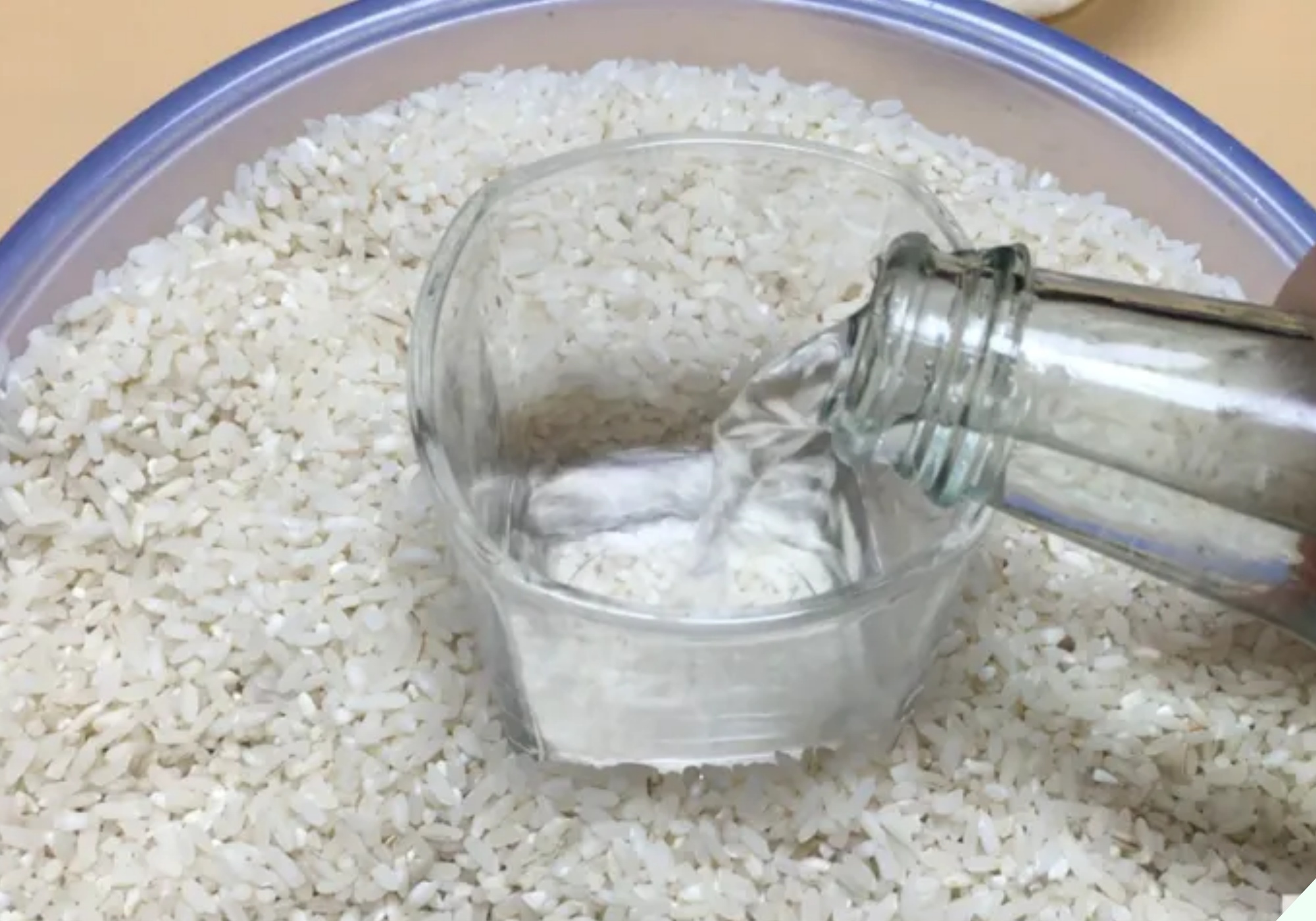 Bỏ thứ này vào thùng gạo 10 phút sau thấy điều thần kỳ, tiếc là giờ tôi mới biết - 6