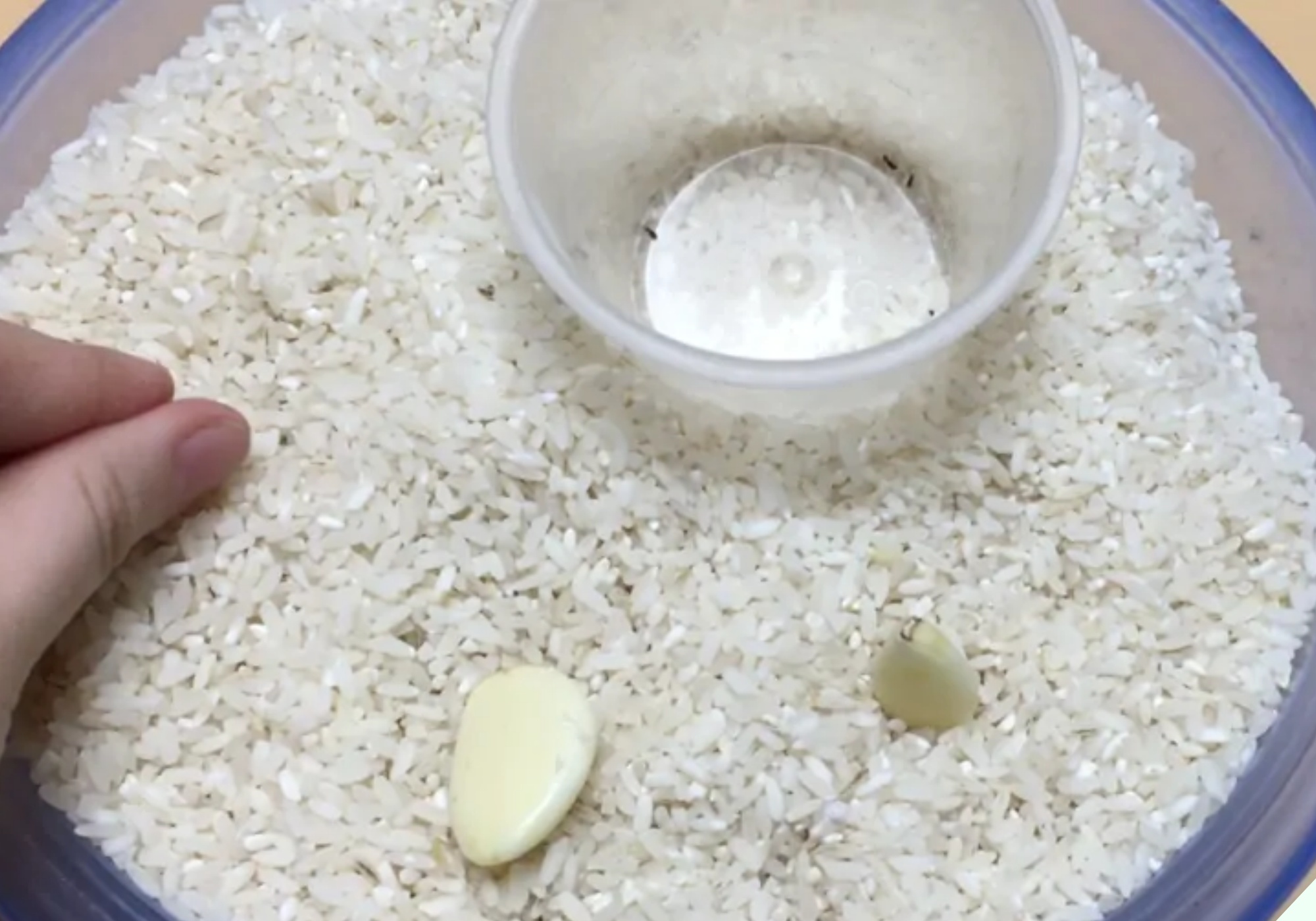 Bỏ thứ này vào thùng gạo 10 phút sau thấy điều thần kỳ, tiếc là giờ tôi mới biết - 5