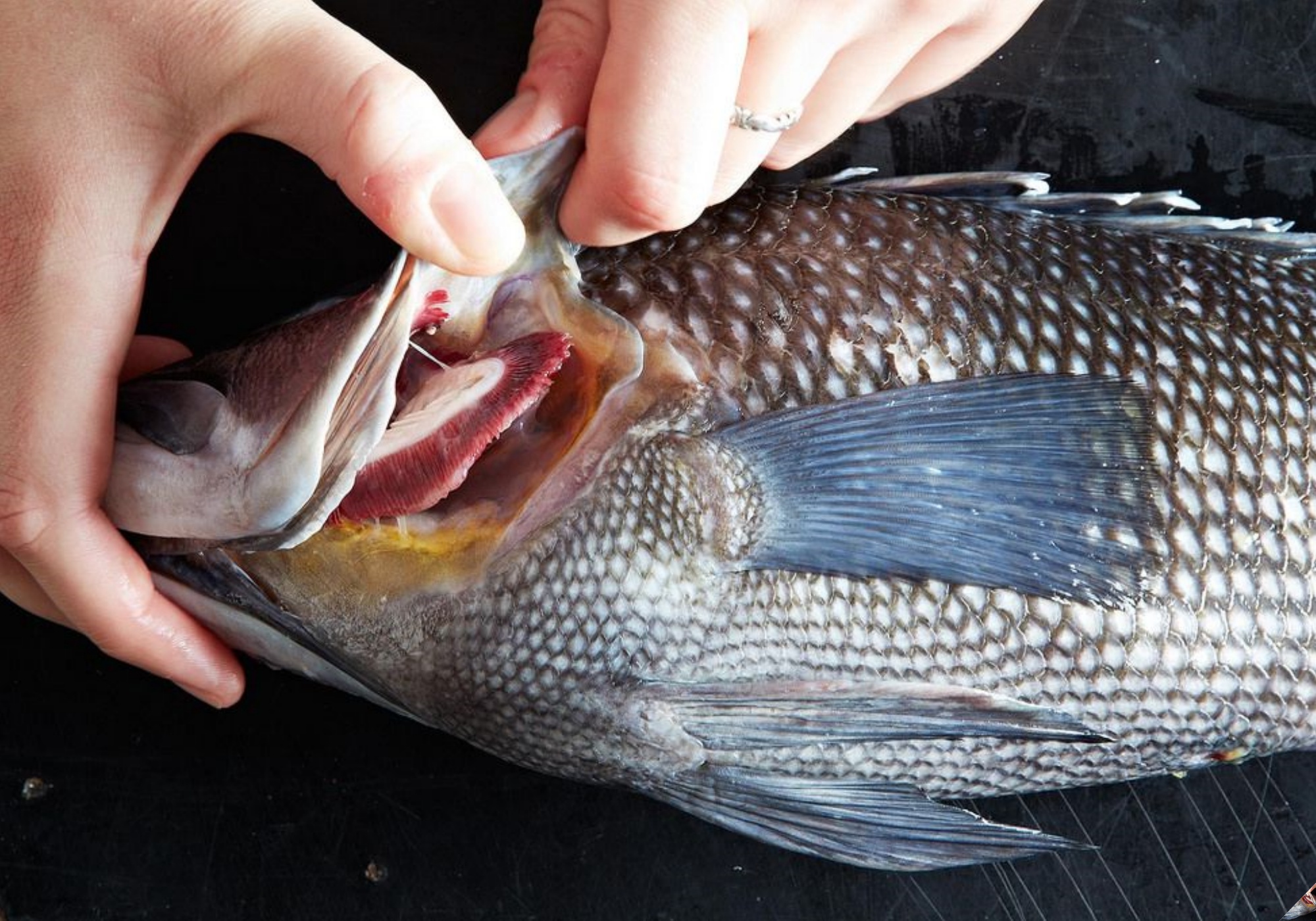 Ngâm cá trong nước này 2 phút rồi mới đem hấp sẽ thấy công dụng tuyệt vời, ai biết cũng vội học theo - 10