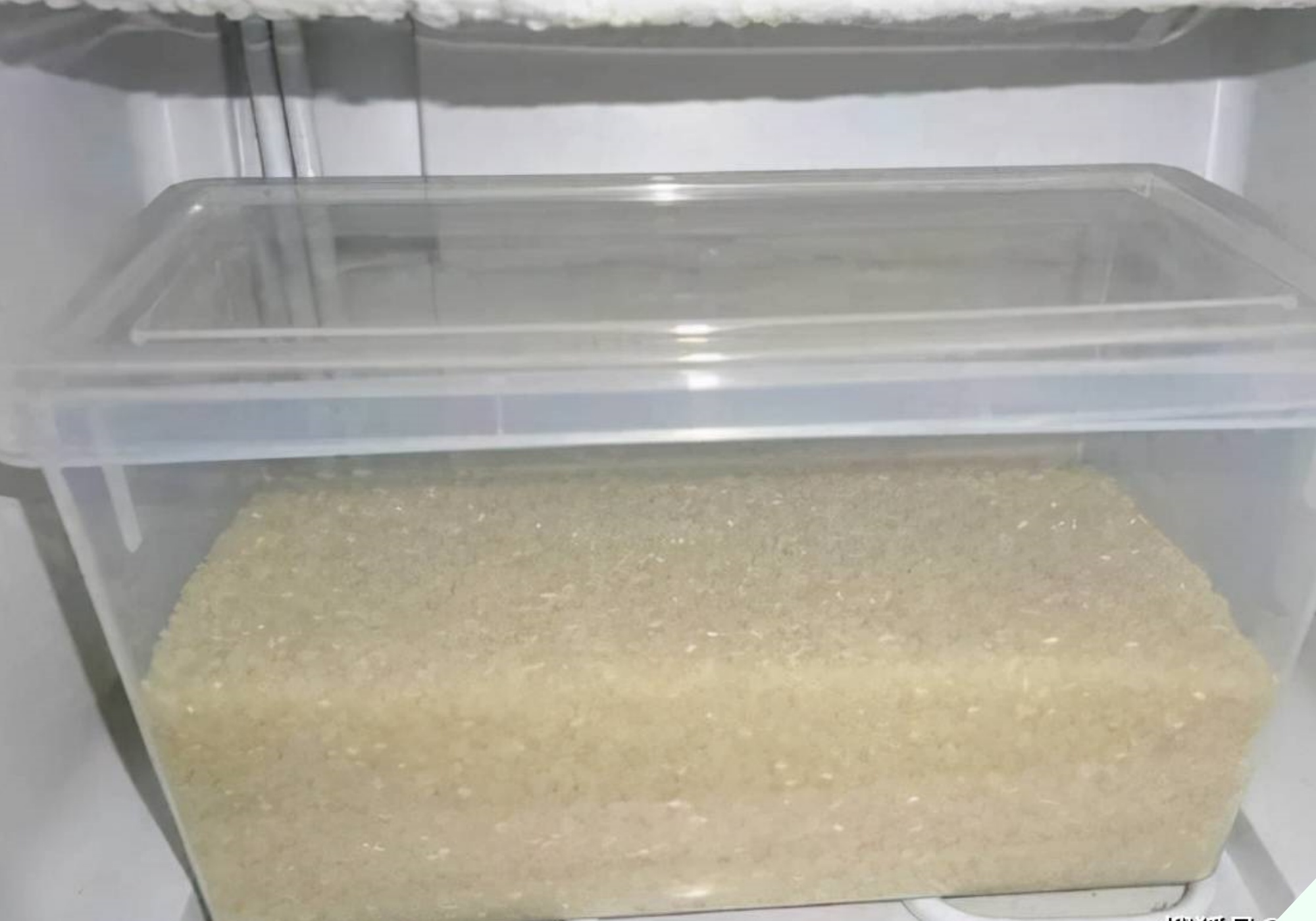 Bỏ thứ này vào thùng gạo 10 phút sau thấy điều thần kỳ, tiếc là giờ tôi mới biết - 8