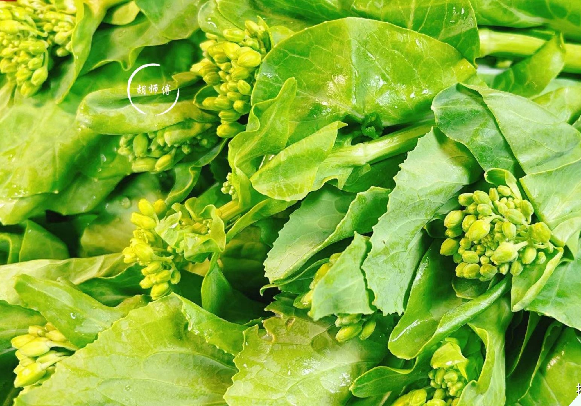 Loại rau rẻ tiền lại rất ngon đang vào cuối vụ, có lượng canxi gấp 5 lần cá - 3