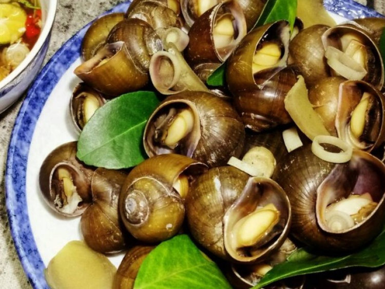 Mua ốc về đừng luộc ngay, ngâm vào đây ốc nhả sạch bùn nhớt, thêm cách ...