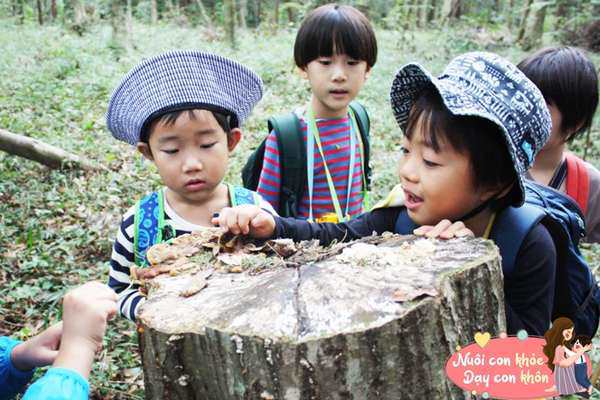 Mọi thứ cần biết về Phương pháp giáo dục sớm Montessori cho trẻ đang được nhiều mẹ Việt &#34;theo đuổi&#34; - 8