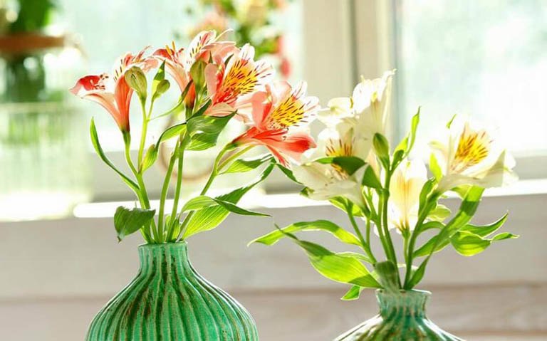 3 loại cây “hoa nở người héo”, trong nhà nếu đang trồng nên dọn ngay kẻo thiệt thân - 3