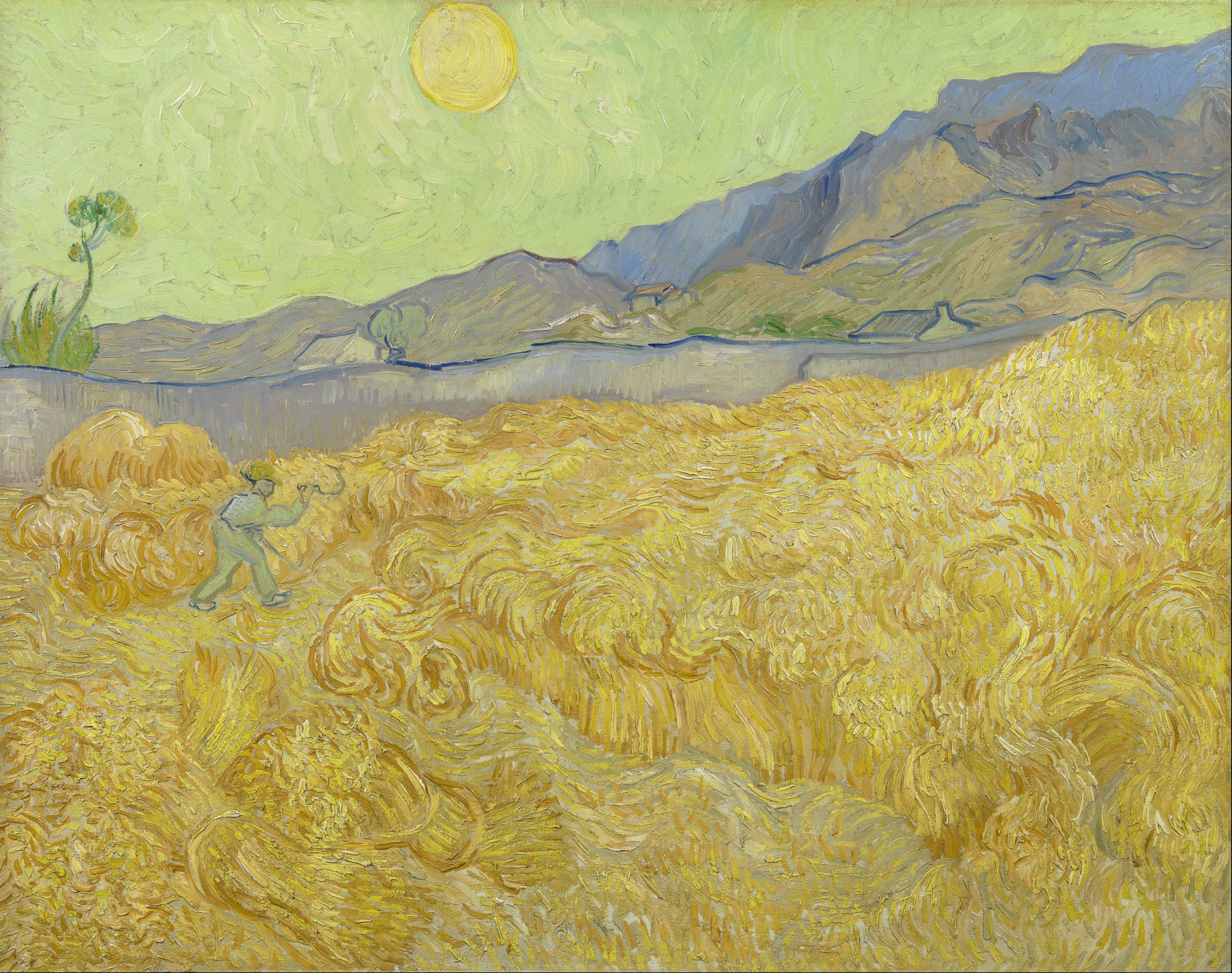 Lưỡng cực sắc thái của Vincent Van Gogh: vàng và xanh - 4