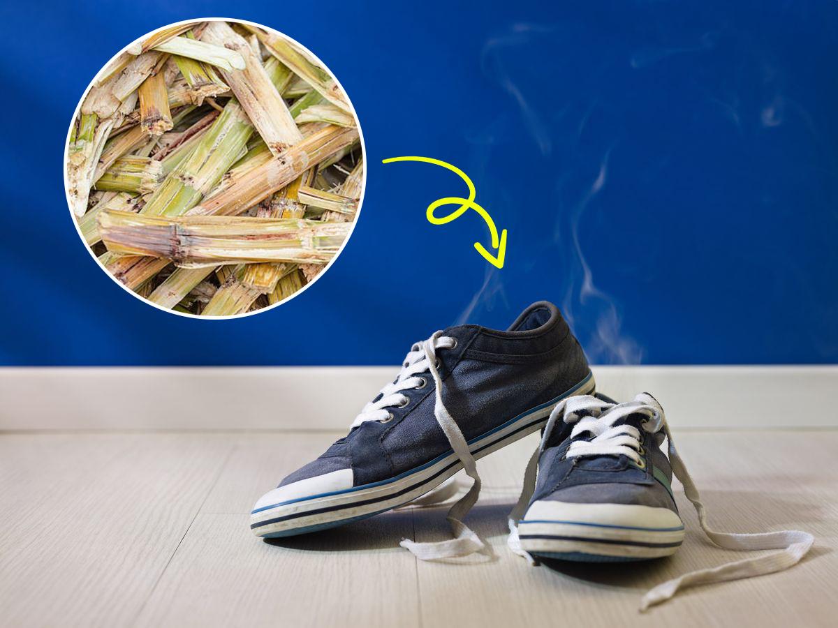 Giày hay có mùi hôi nhớ 5 “mẹo nhỏ”, giày nào cũng thơm phức, chân không bị ám mùi - 3