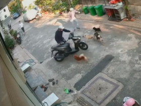 Clip: "Dở khóc dở cười" thanh niên đi xe máy bị đàn chó đuổi rơi dép