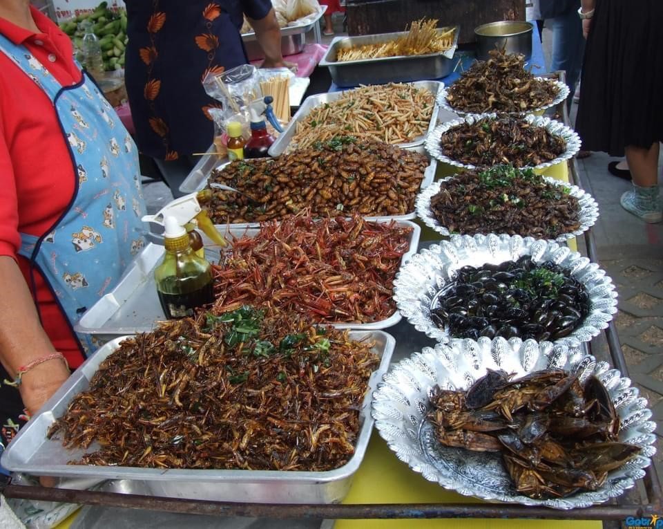 Chợ côn trùng độc đáo ở Campuchia - 2