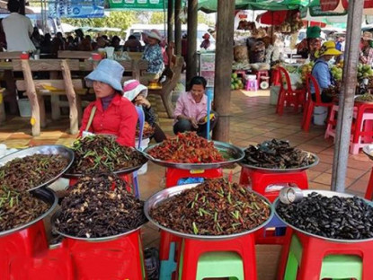 Du lịch - Chợ côn trùng độc đáo ở Campuchia