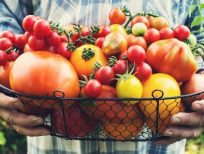 Video - Vì sao ăn sống hay chín cà chua đều tốt, ngừa căn bệnh ung thư ở các &quot;quý ông&quot;?