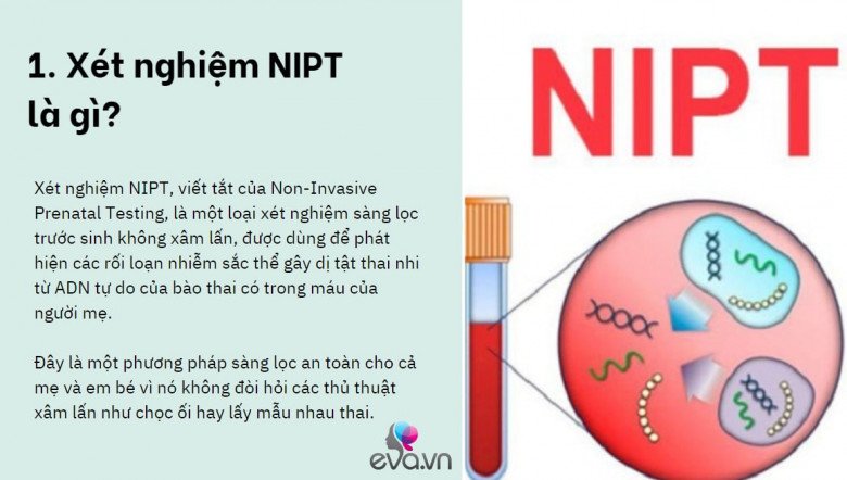 Tất tần tật về xét nghiệm NIPT sàng lọc dị tật thai nhi và những lý do mẹ bầu nên làm - 2
