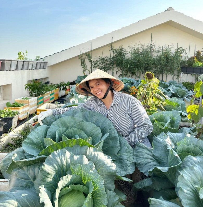 Ở xứ “Tây Ninh nắng cháy da người”, bà mẹ 2 con vẫn có vườn rau xanh tốt quanh năm trên sân thượng - 1