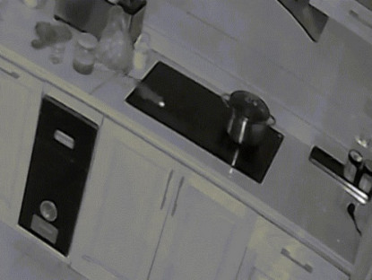 Công nghệ - Clip: Hú vía chuột chạy qua bếp từ khiến khóc bốc cháy nghi ngút trong nhà