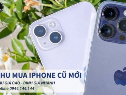 Thông tin doanh nghiệp - Táo Việt Store - Hỗ trợ thu mua iPhone cũ giá cao uy tín cho mọi người