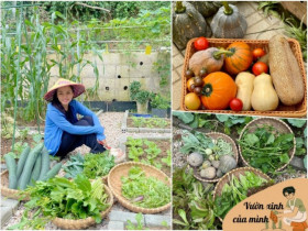 Mẹ xinh làm vườn từ mục đích cho con ăn dặm, suốt mùa mưa dài ở Quảng Nam cả nhà vẫn có rau xanh ăn