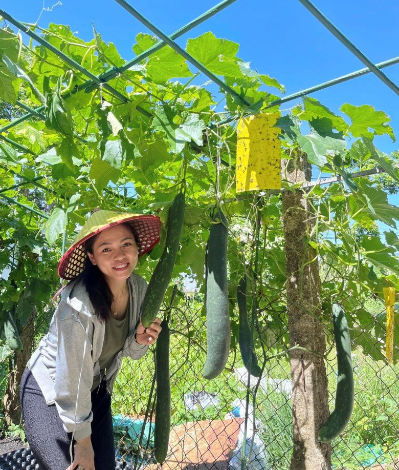 Mẹ xinh làm vườn từ mục đích cho con ăn dặm, suốt mùa mưa dài ở Quảng Nam cả nhà vẫn có rau xanh ăn - 2