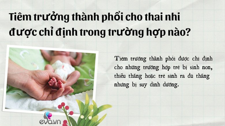 Tiêm trưởng thành phổi là gì và những điều mẹ bầu có nguy cơ sinh non cần biết - 2